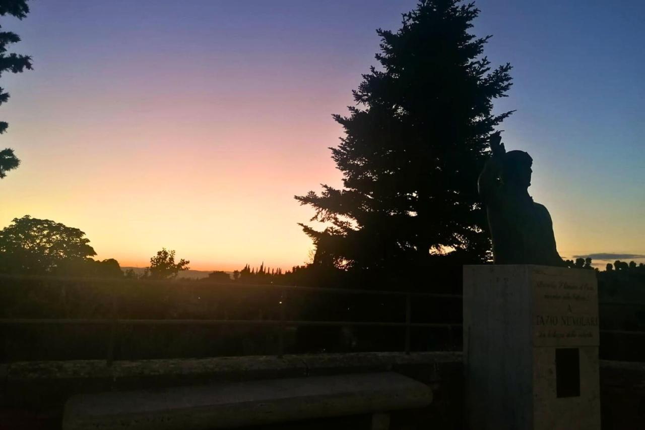 Ferienwohnung L' Antica Oliviera D'Orcia San Quirico dʼOrcia Exterior foto